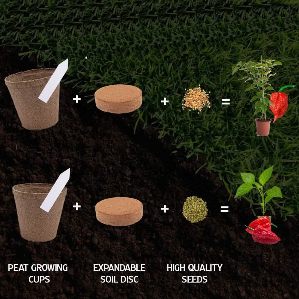 Plant Your Own Garden Grow Kit DailySale