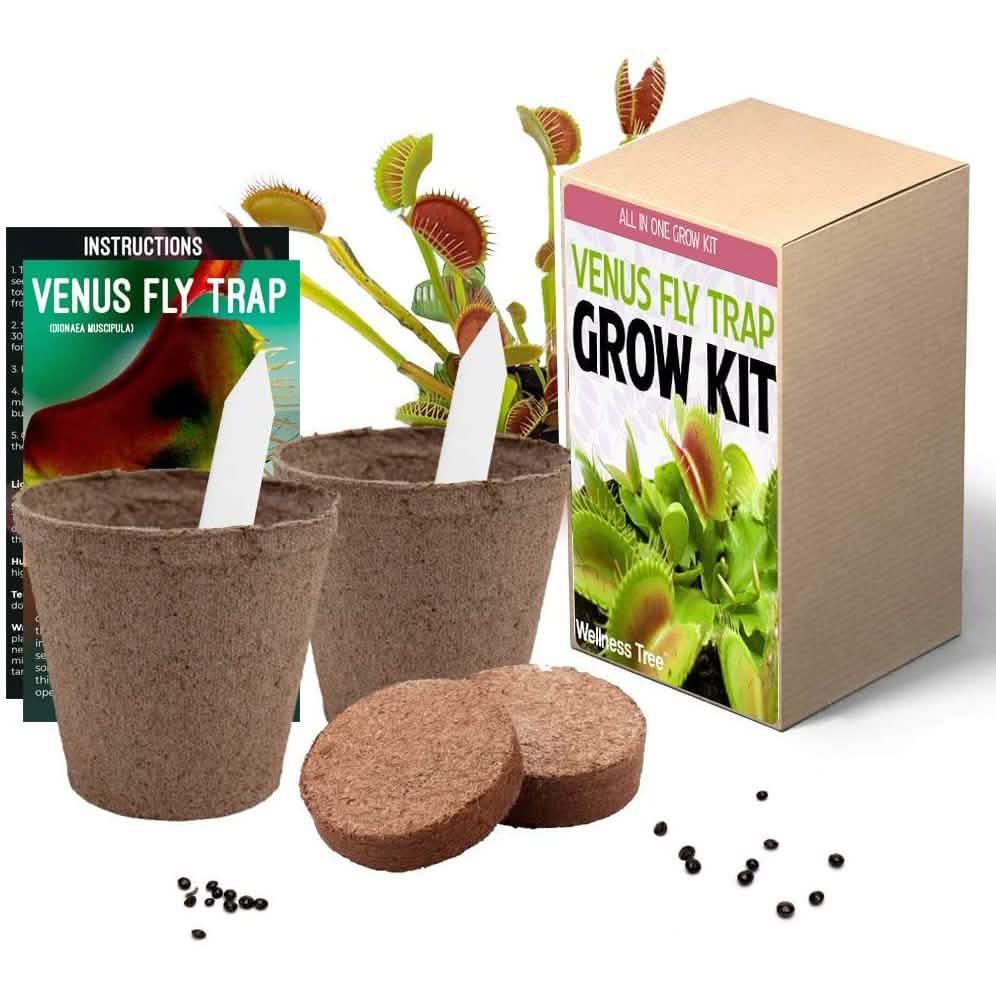 Plant Your Own Garden Grow Kit DailySale