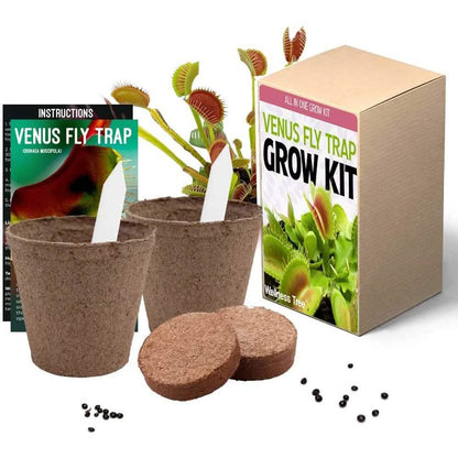 Plant Your Own Garden Grow Kit DailySale
