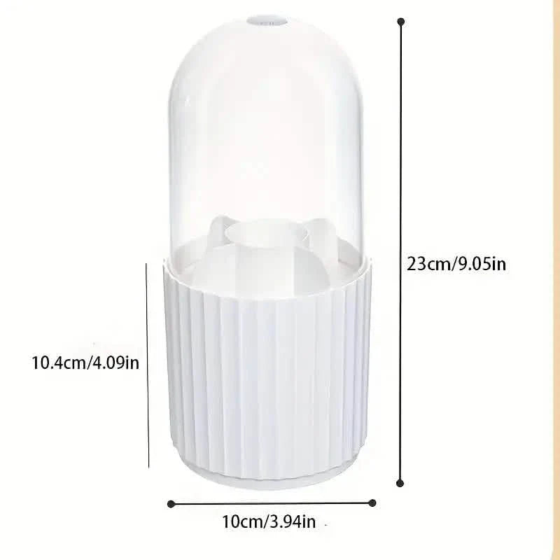 Plastic Makeup Brush Storage Box DailySale