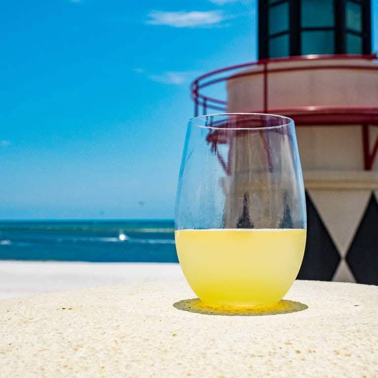 Plastic Stemless Wine Glasses by En Soiree DailySale