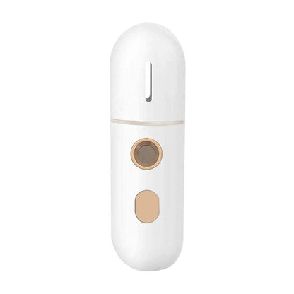 Portable Mini Face Steamer DailySale