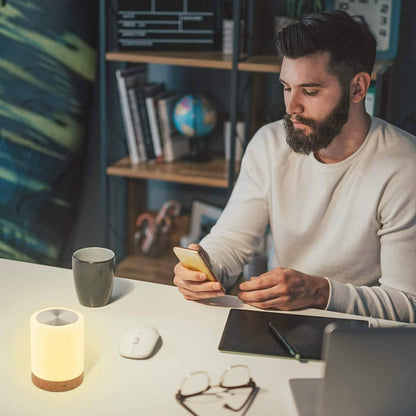 Portable Table Bedside Lamps DailySale