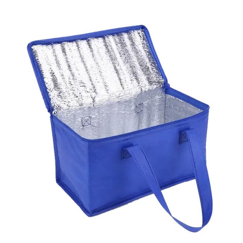 Premium Insulated Cooler Bag DailySale