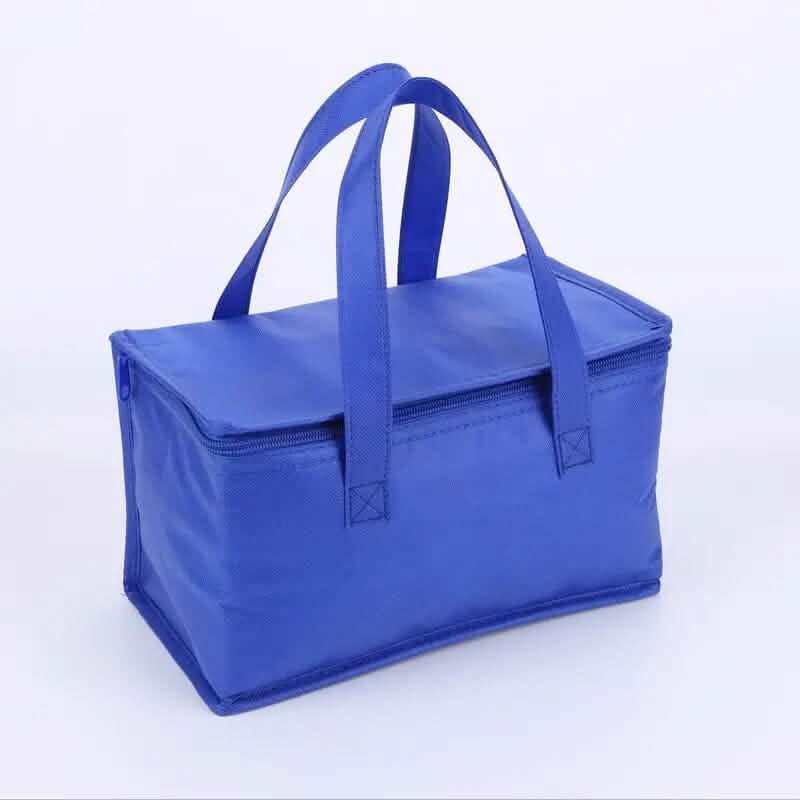 Premium Insulated Cooler Bag DailySale