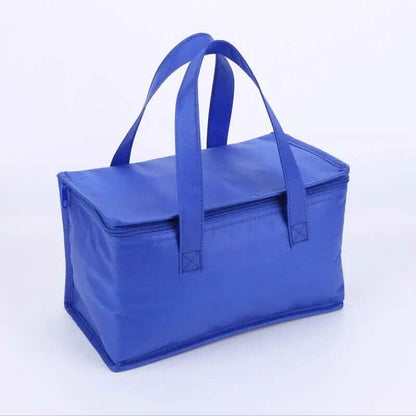 Premium Insulated Cooler Bag DailySale