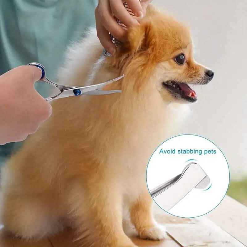Premium Pet Grooming Scissor DailySale