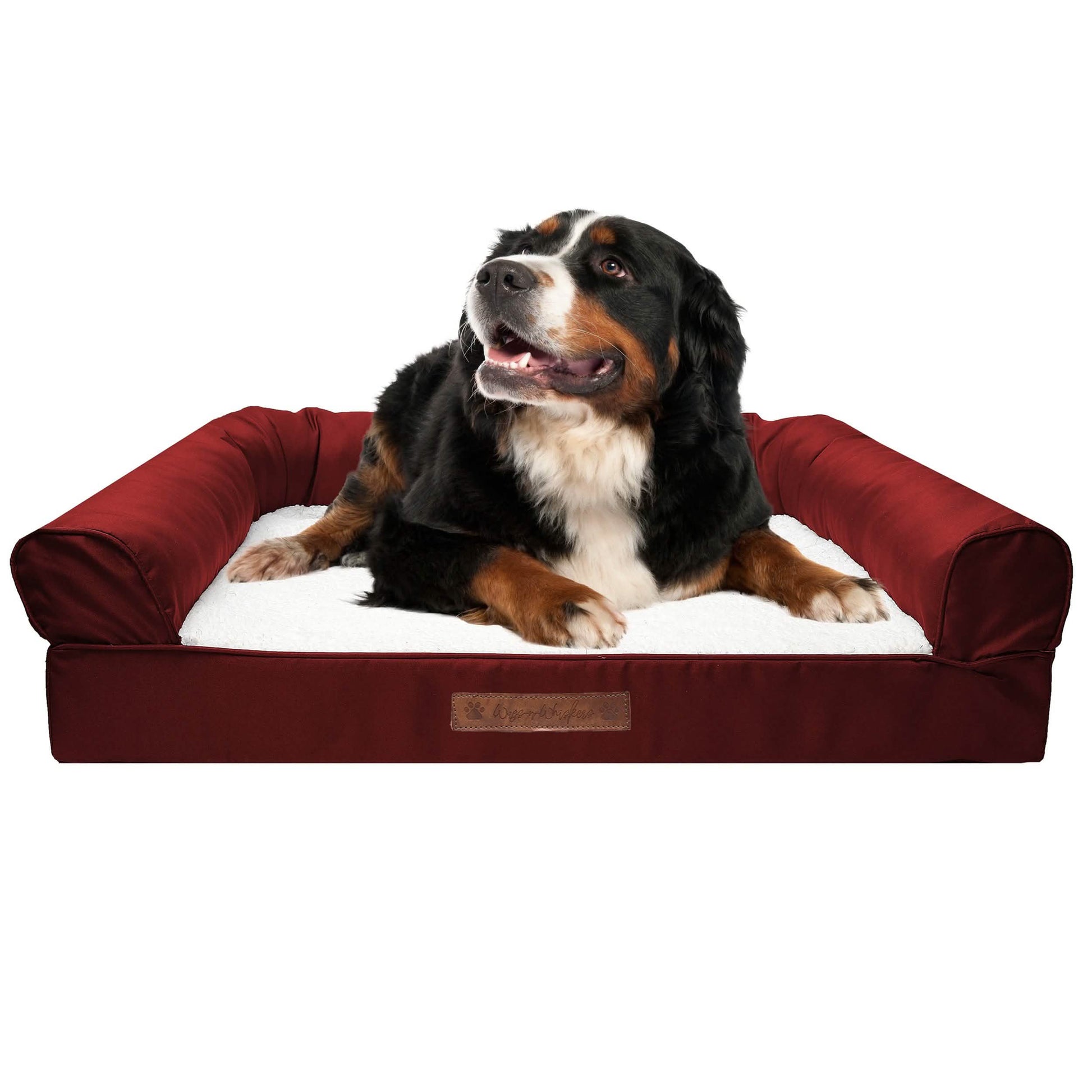 Premium Sofa-Style Orthopedic Pet Bed DailySale