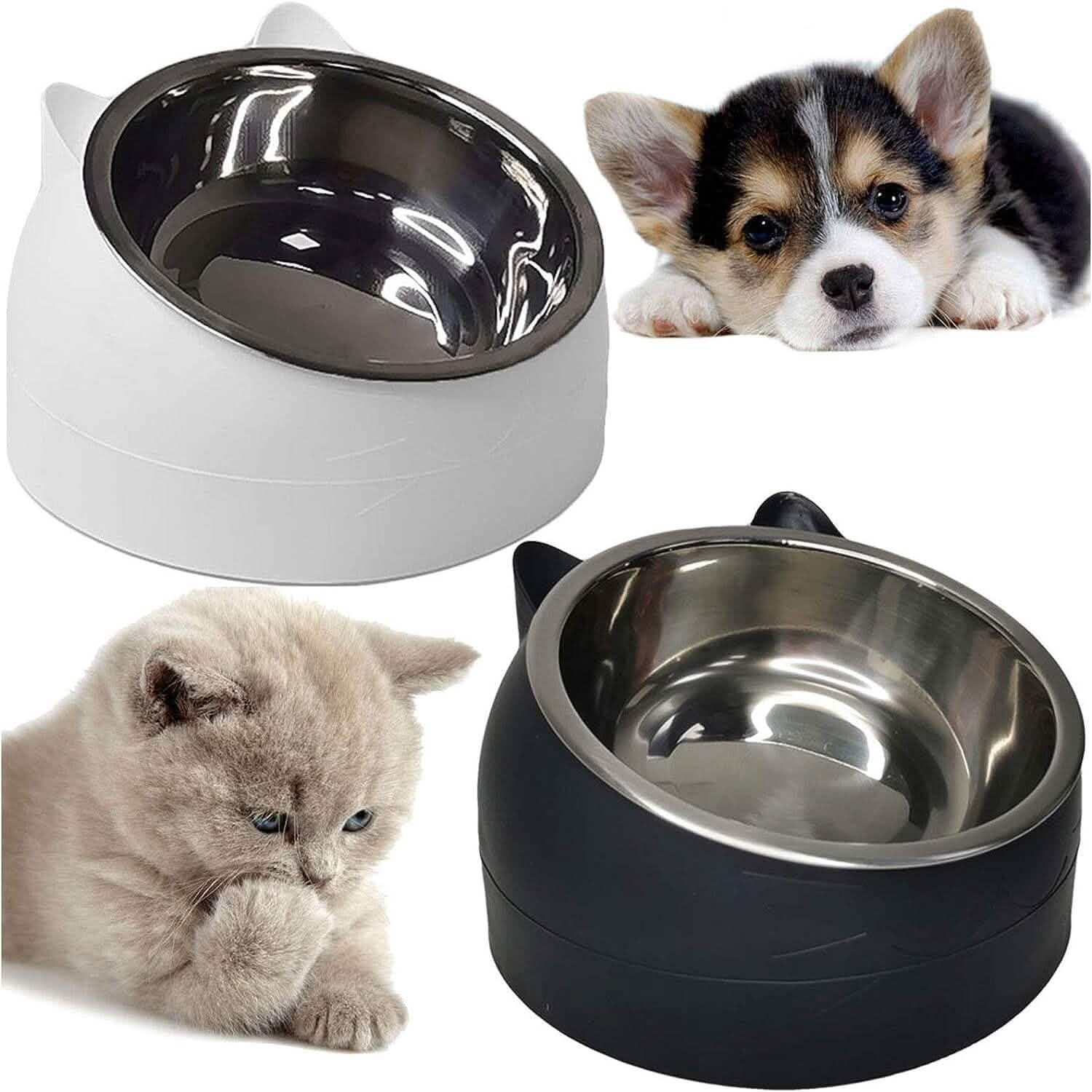 Premium Stainless Steel Cat & Dog Bowls - Non Slip Base for Food & Water DailySale