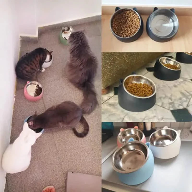 Premium Stainless Steel Cat & Dog Bowls - Non Slip Base for Food & Water DailySale