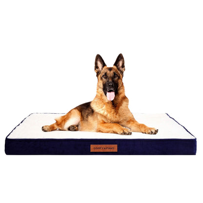 Premium Suede Velvet Orthopedic Dog Bed DailySale