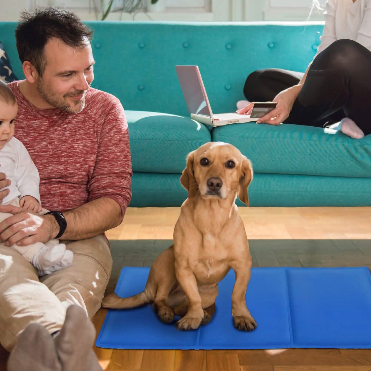 Pressure Activated Pet Gel Self Cooling Mat Pad DailySale