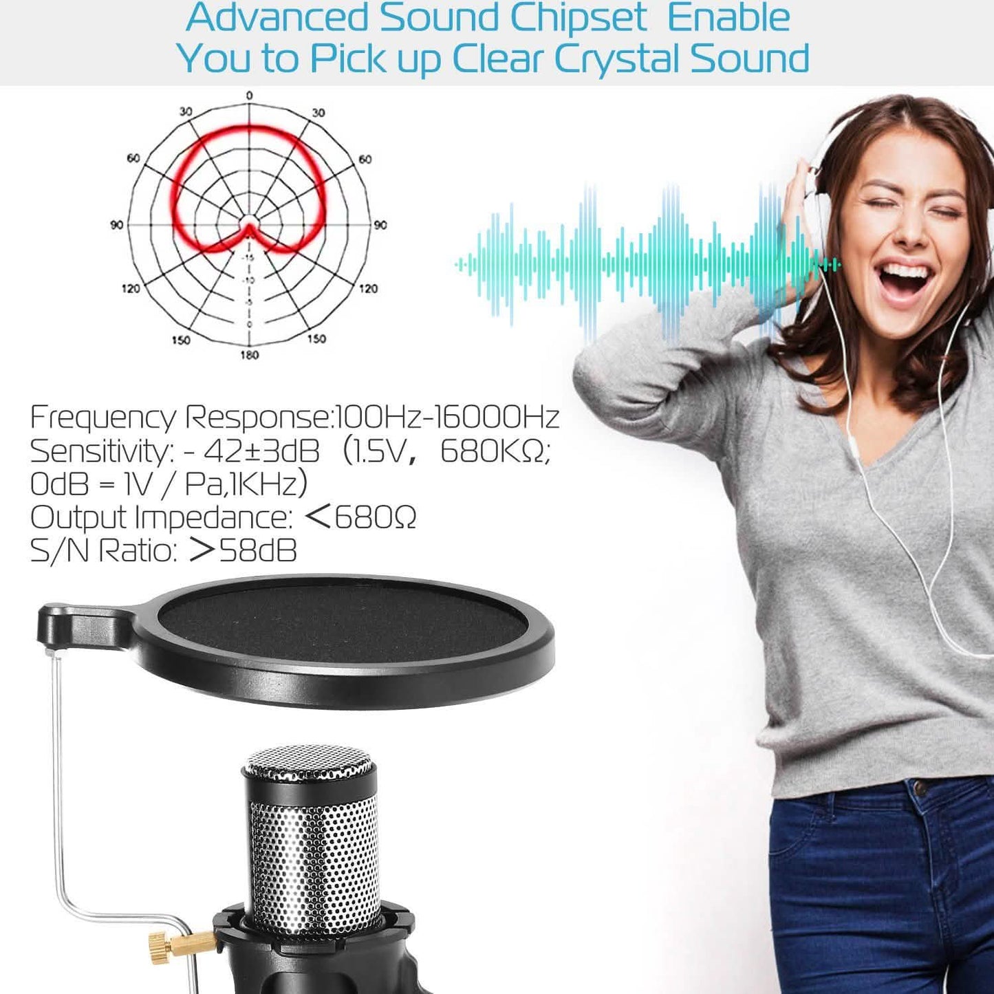 Professional Condenser Studio Recording Microphone DailySale