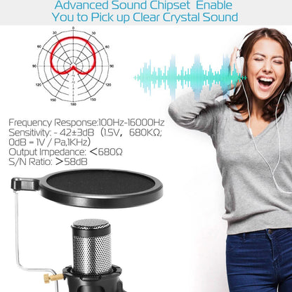 Professional Condenser Studio Recording Microphone DailySale