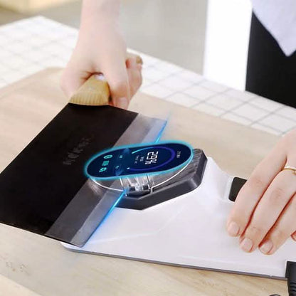 Professional Electric Knife Sharpener DailySale
