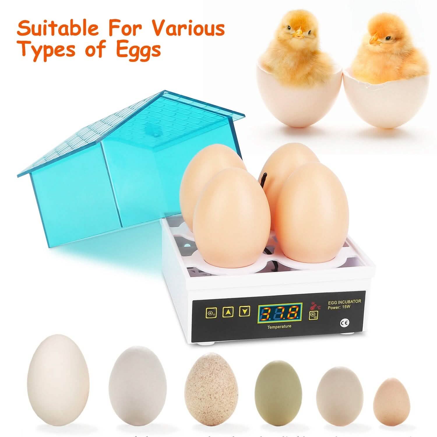 Professional Poultry Hatcher with Digital Display Automatic Temperature Humidity DailySale