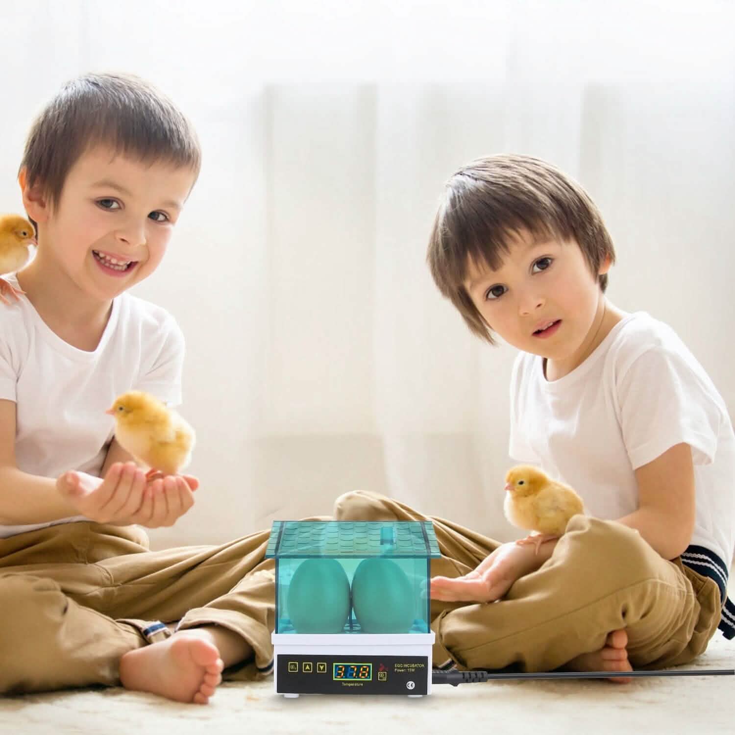 Professional Poultry Hatcher with Digital Display Automatic Temperature Humidity DailySale