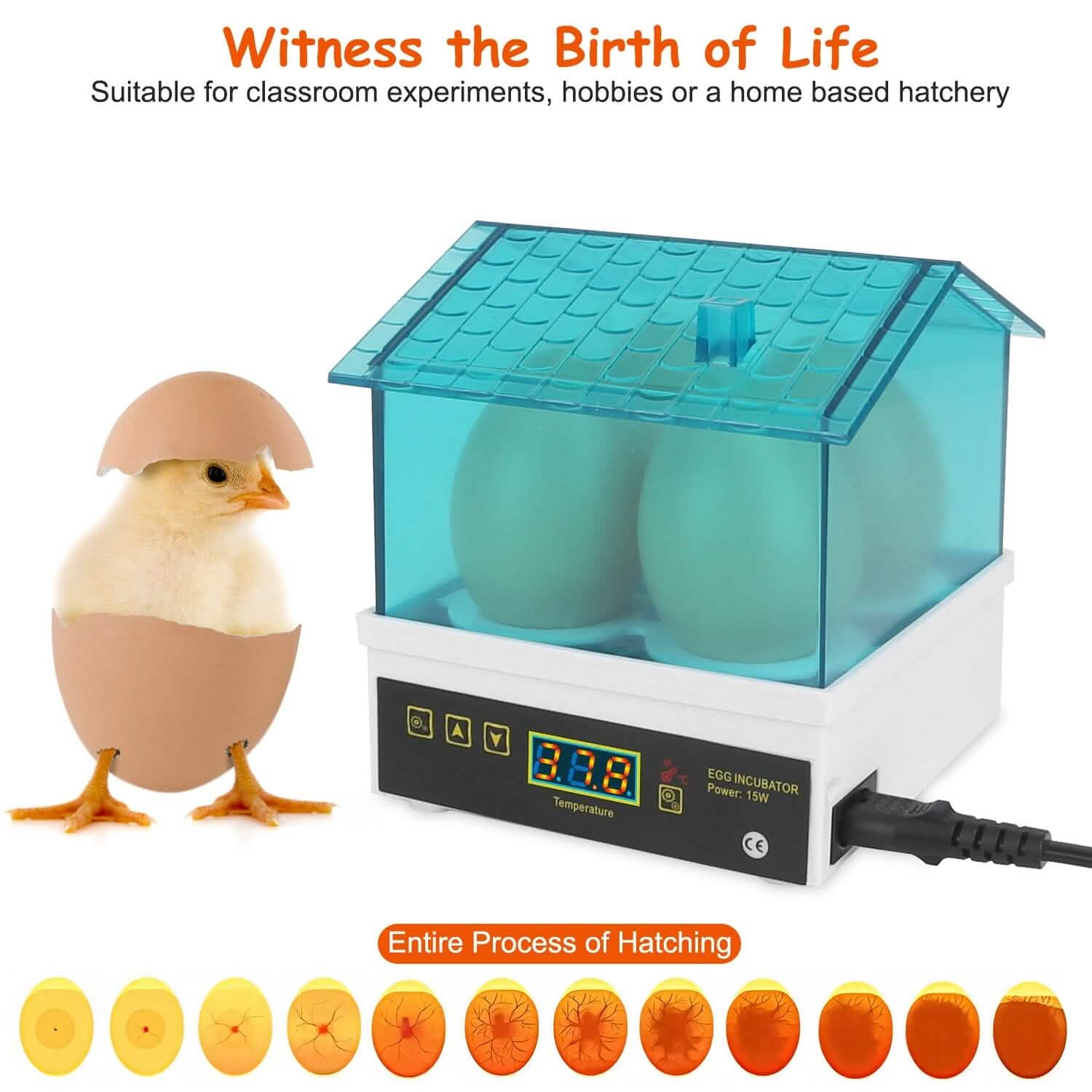 Professional Poultry Hatcher with Digital Display Automatic Temperature Humidity DailySale