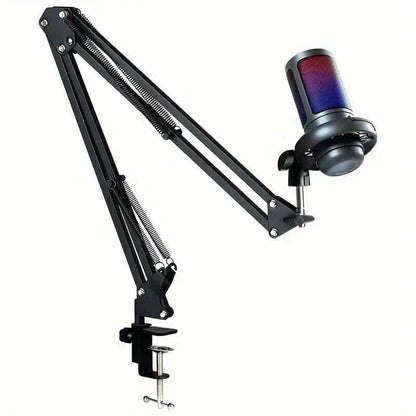 Professional Recording Microphone with Adjustable Cantilever Stand DailySale