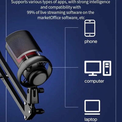 Professional Recording Microphone with Adjustable Cantilever Stand DailySale