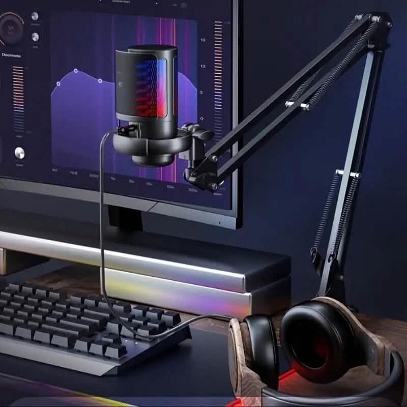 Professional Recording Microphone with Adjustable Cantilever Stand DailySale