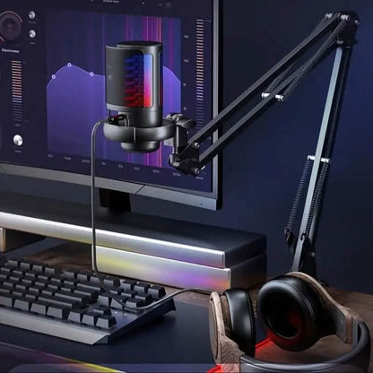 Professional Recording Microphone with Adjustable Cantilever Stand DailySale