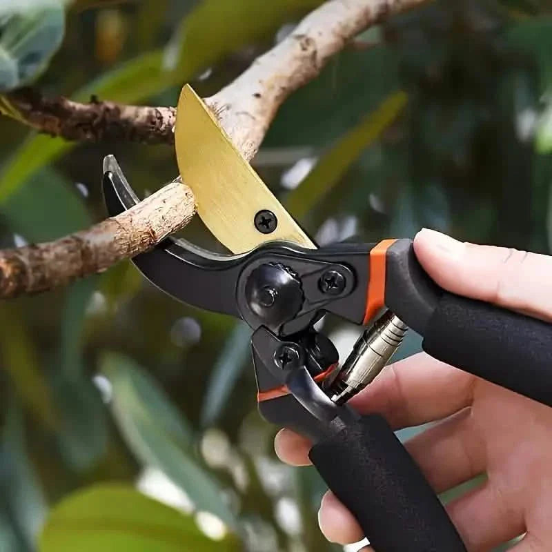 Professional Titanium Bypass Pruning Shears DailySale