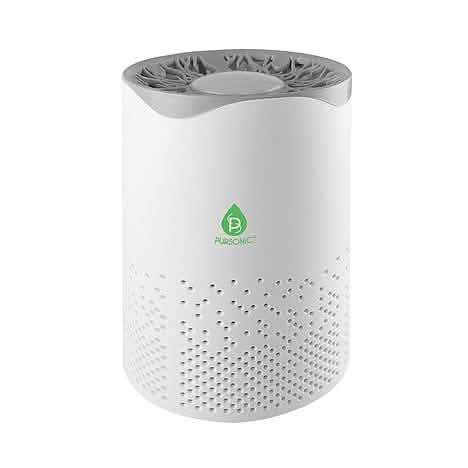Pursonic USB Powered True Hepa Air Purifier DailySale