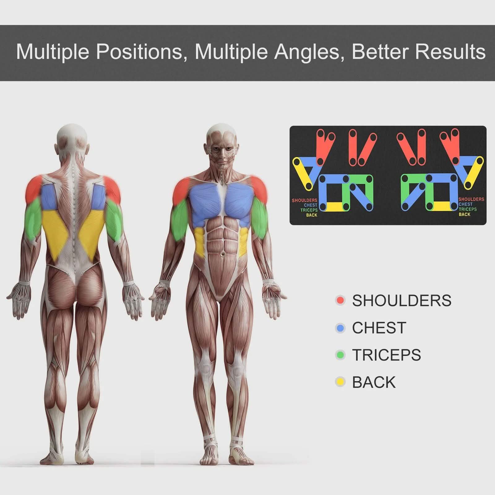Push Up Bars Stand S Shape Fitness Workout Gym Exercise with Push-Up Training Mat DailySale