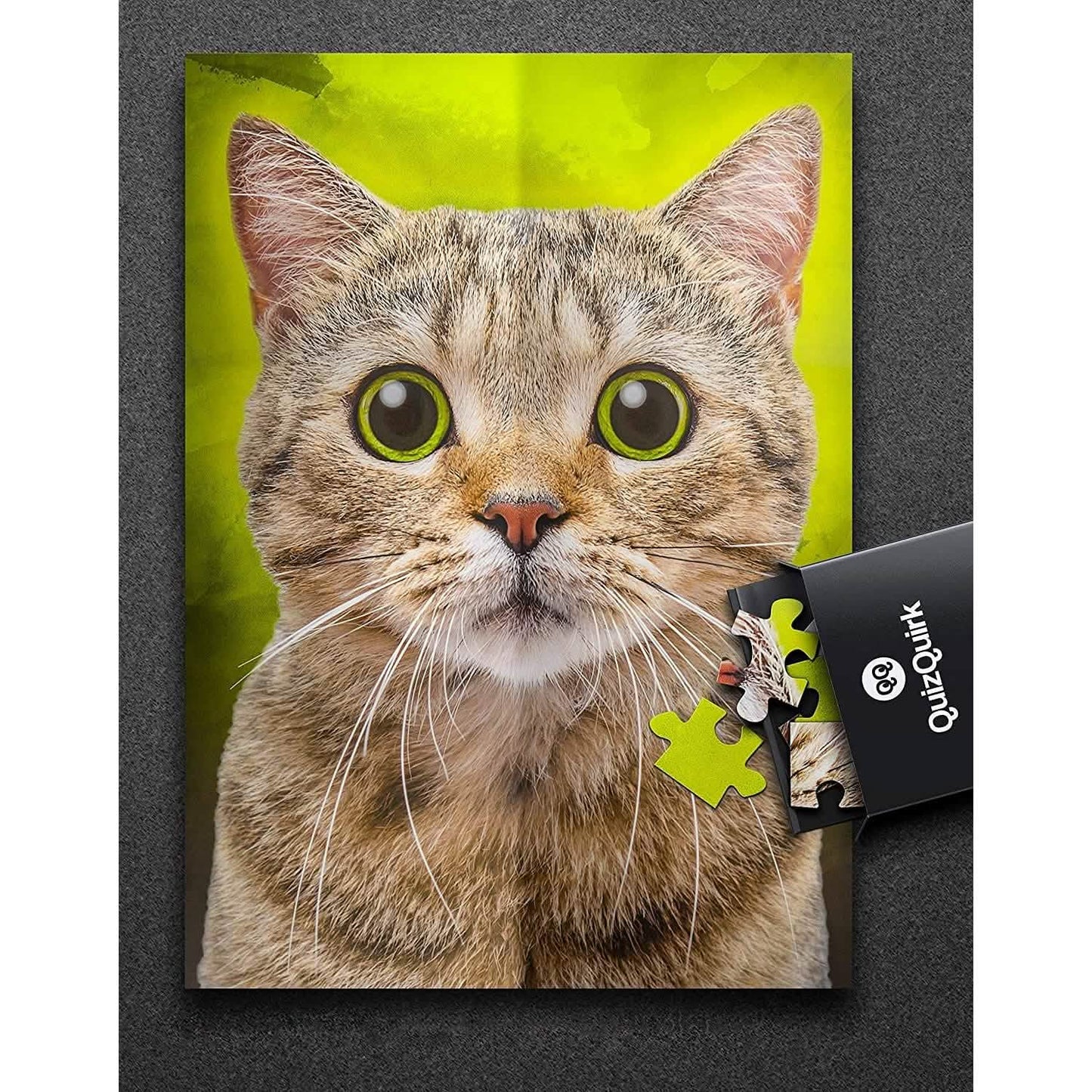Puzzle with Puzzle Saver Kit DailySale