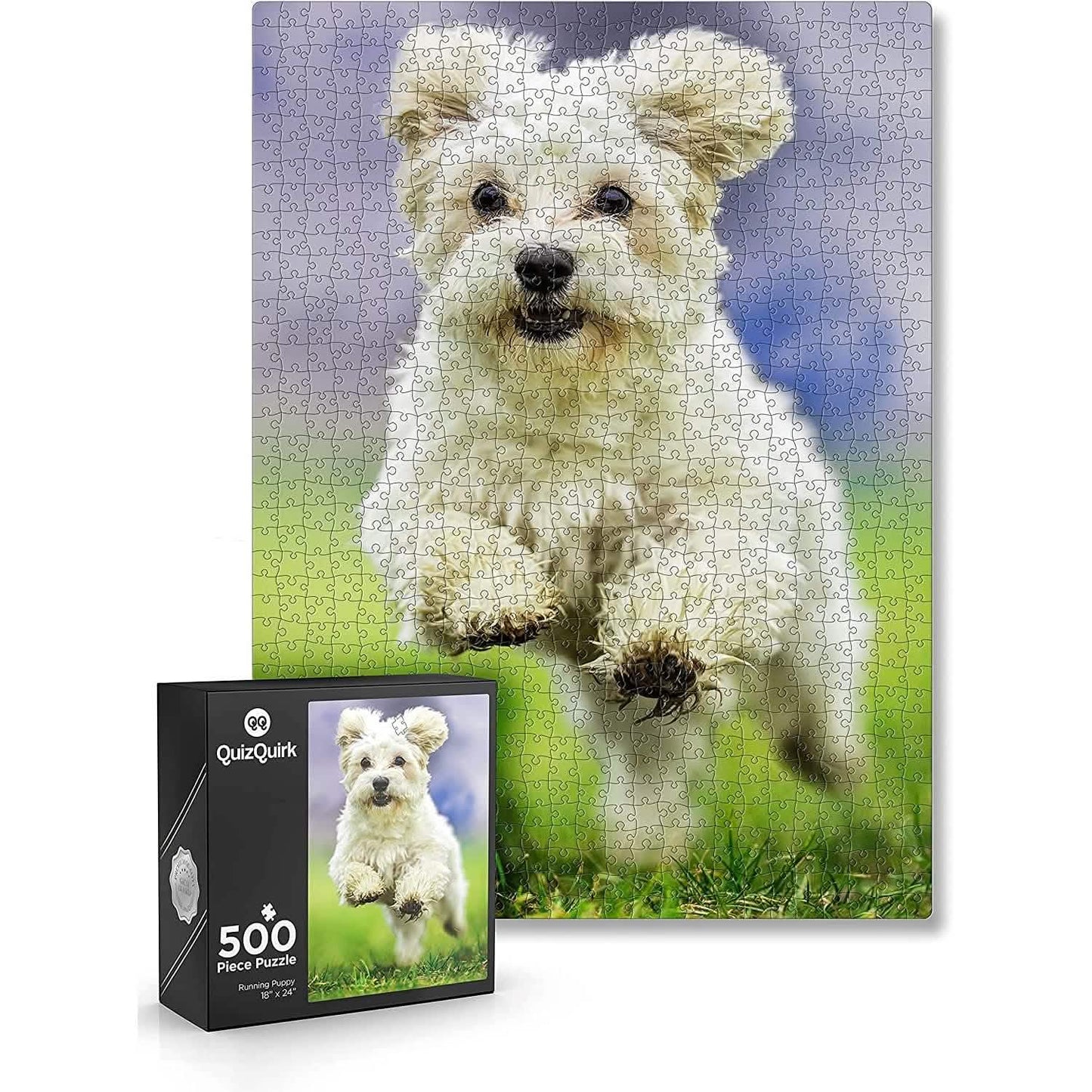 Puzzle with Puzzle Saver Kit DailySale