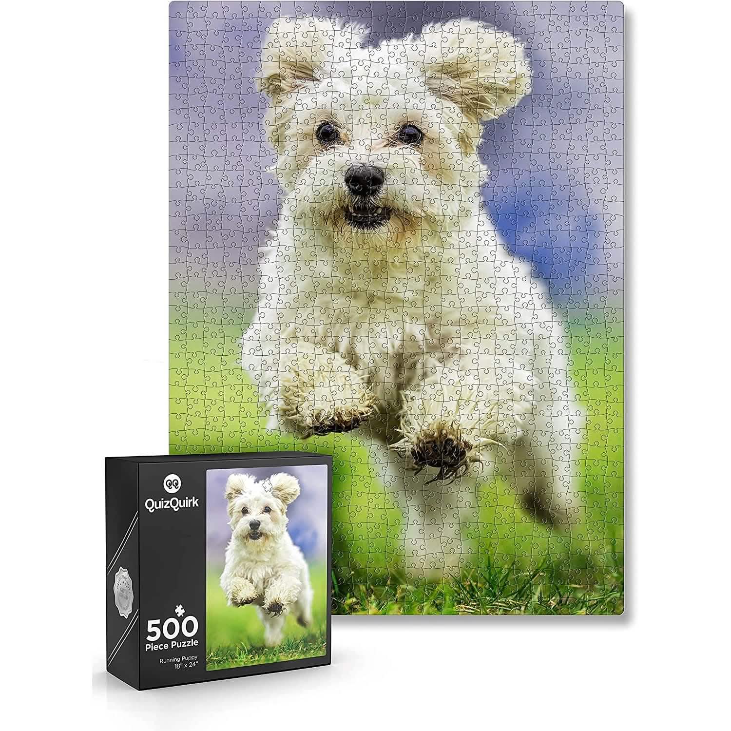 Puzzle with Puzzle Saver Kit DailySale