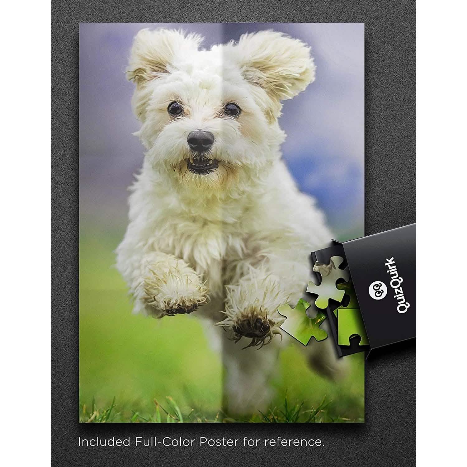 Puzzle with Puzzle Saver Kit DailySale