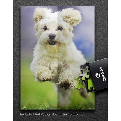 Puzzle with Puzzle Saver Kit DailySale