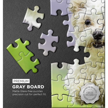 Puzzle with Puzzle Saver Kit DailySale