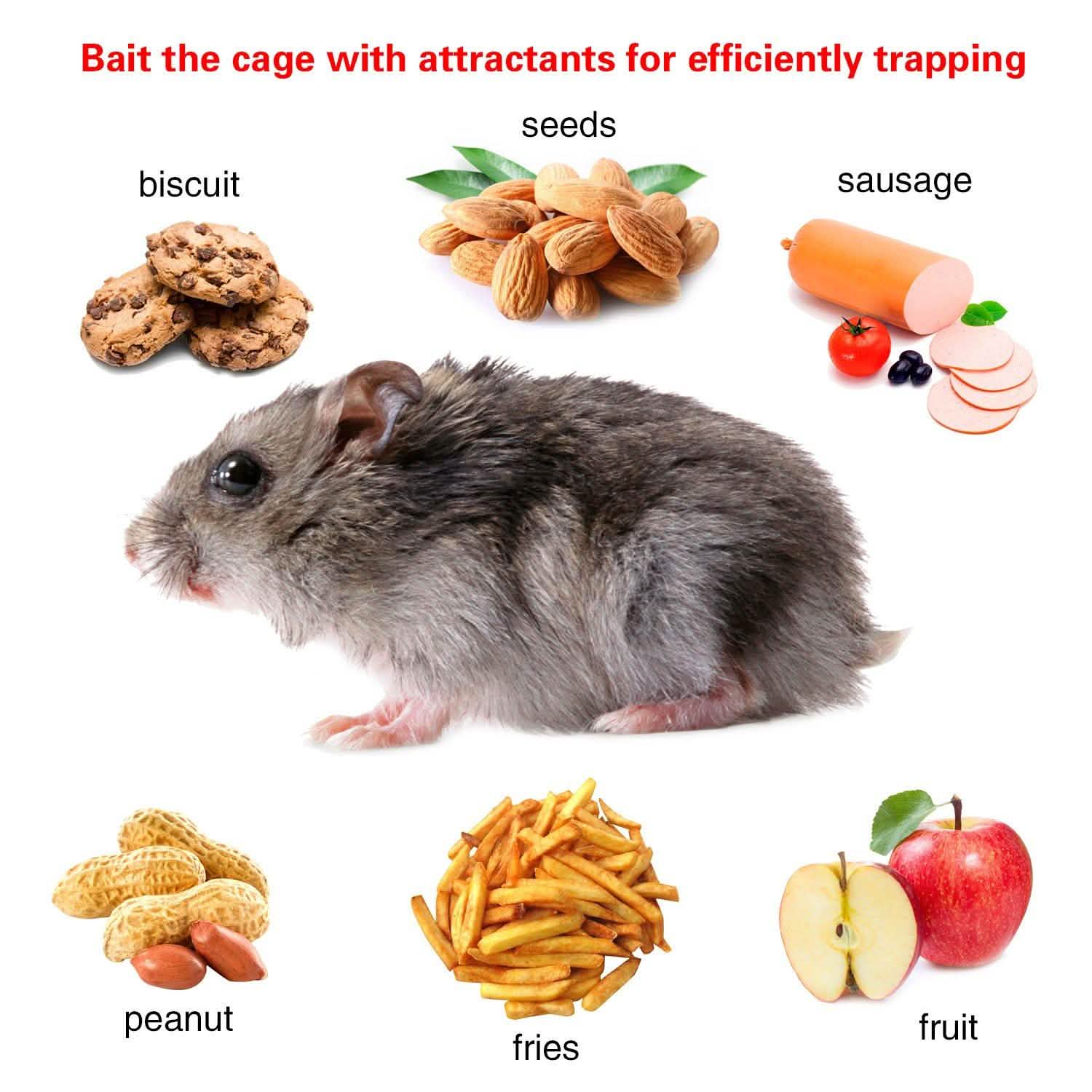 Rat Trap Cage Humane Live Rodent DailySale
