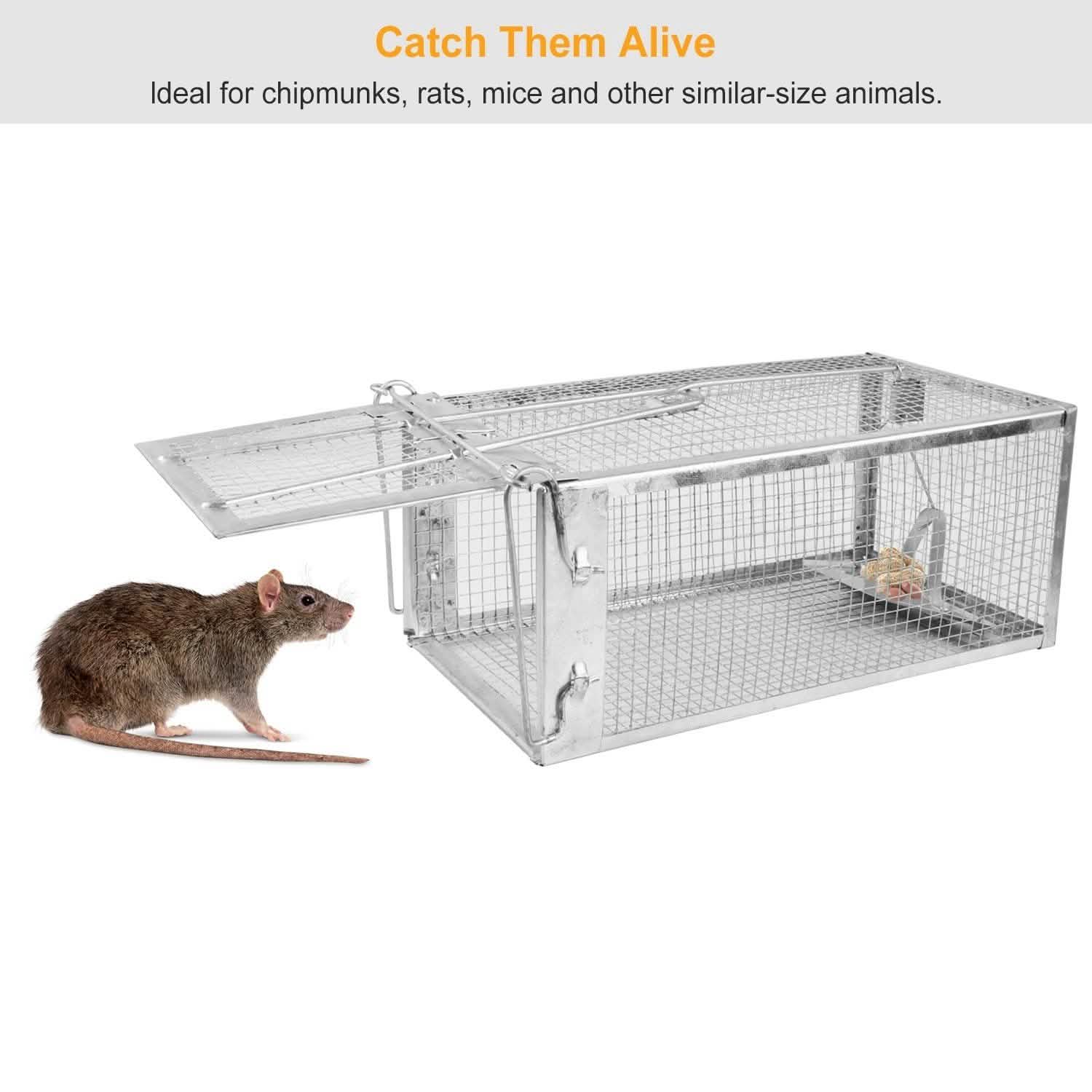 Rat Trap Cage Humane Live Rodent DailySale