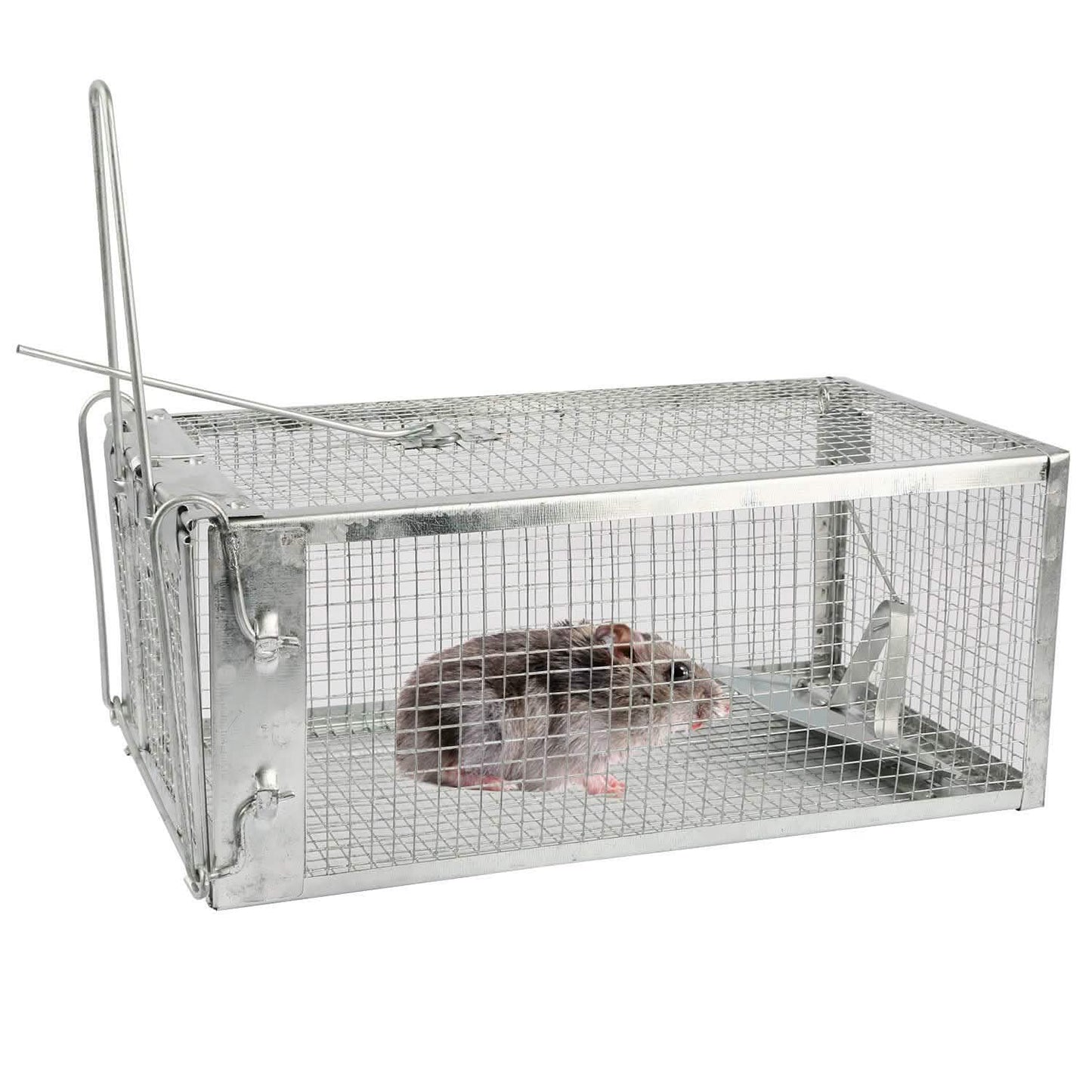 Rat Trap Cage Humane Live Rodent DailySale