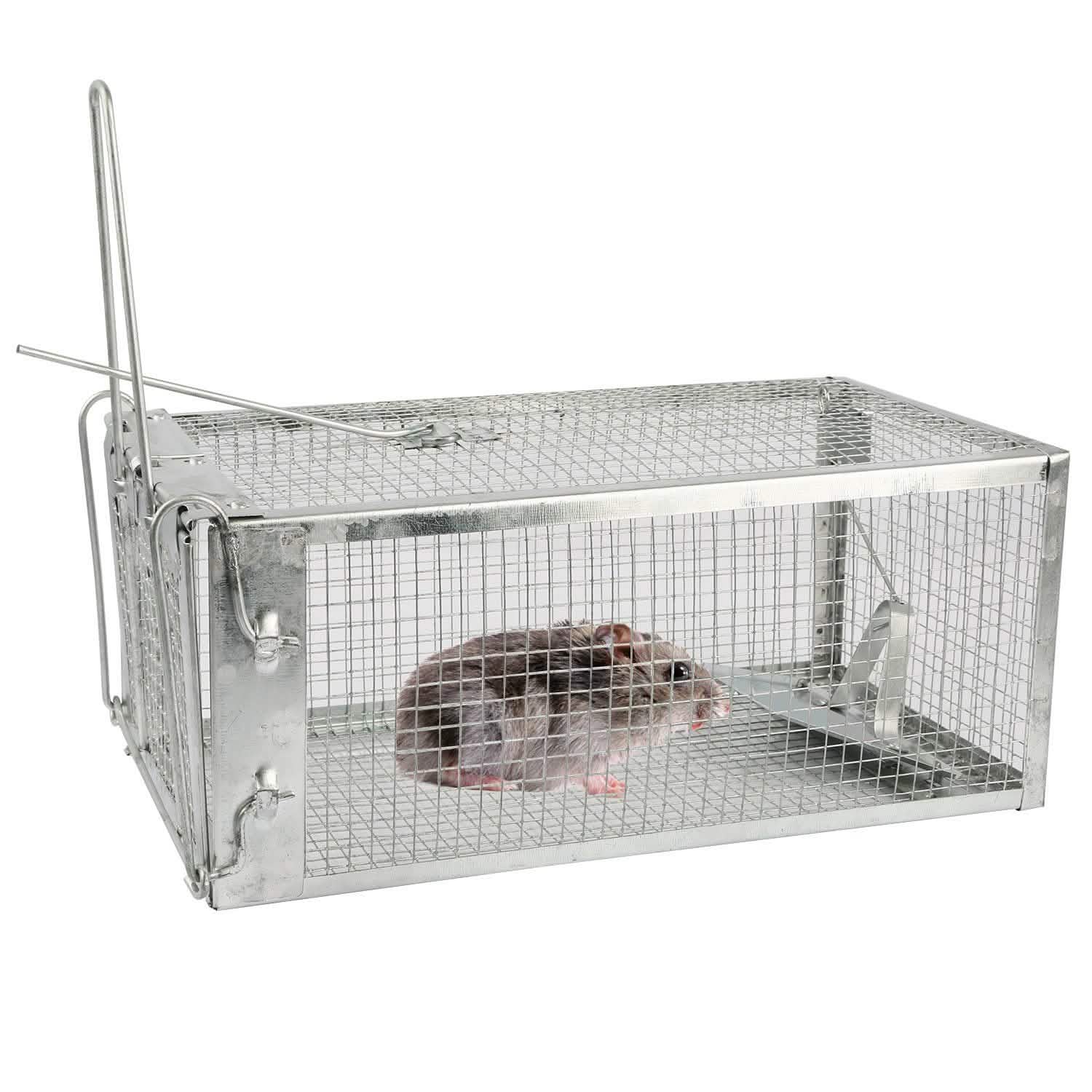 Rat Trap Cage Humane Live Rodent DailySale