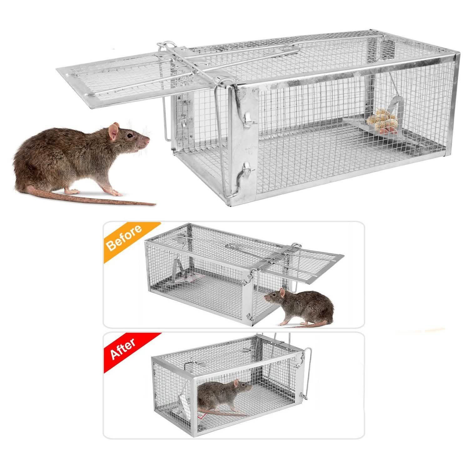 Rat Trap Cage Humane Live Rodent DailySale