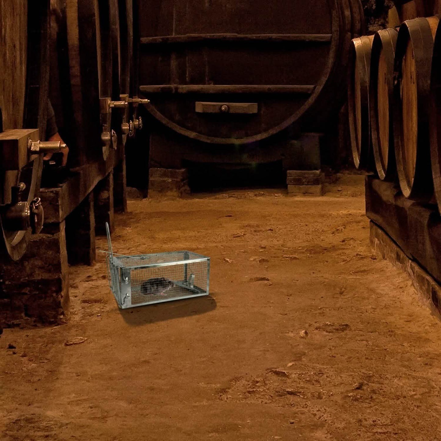 Rat Trap Cage Humane Live Rodent DailySale