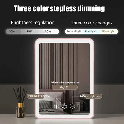 Rechargeable Travel Makeup Mirror with Led Lights DailySale