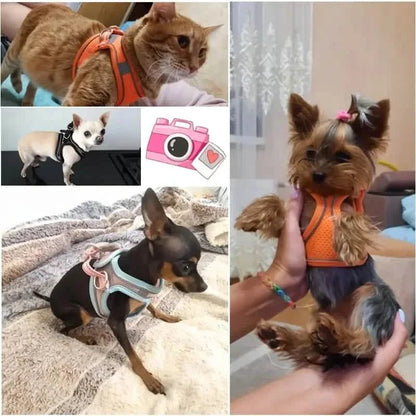 Reflective Dogs Harness with Leash Adjustable Harness Vest Breathable Collars DailySale
