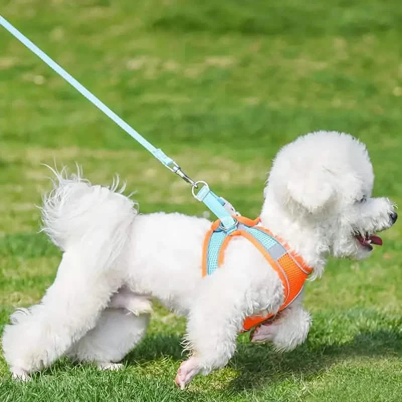 Reflective Dogs Harness with Leash Adjustable Harness Vest Breathable Collars DailySale