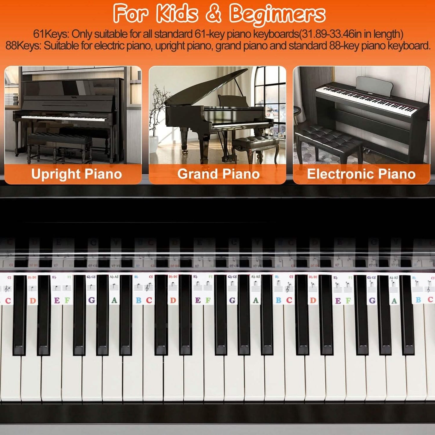 Removable PVC Piano Keyboard Stickers DailySale