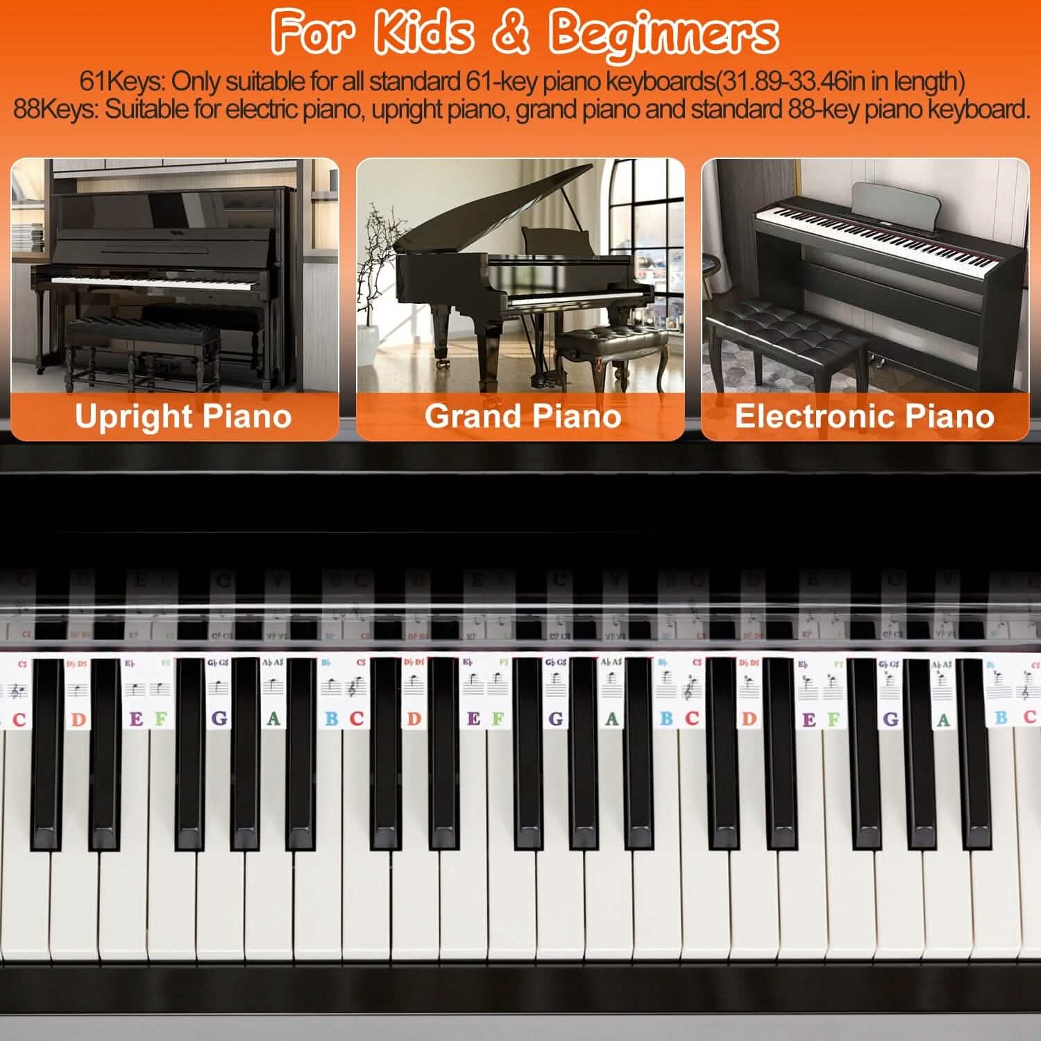 Removable PVC Piano Keyboard Stickers DailySale