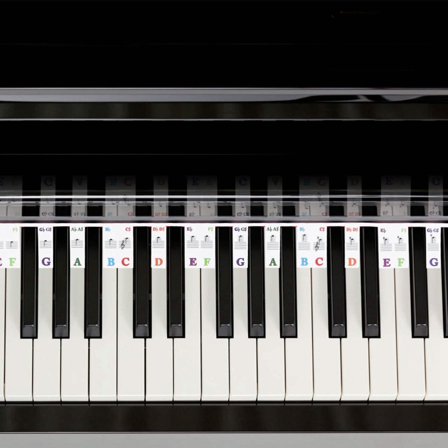 Removable PVC Piano Keyboard Stickers DailySale
