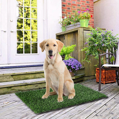 Replacement Grass Mat for Pet Potty Tray DailySale