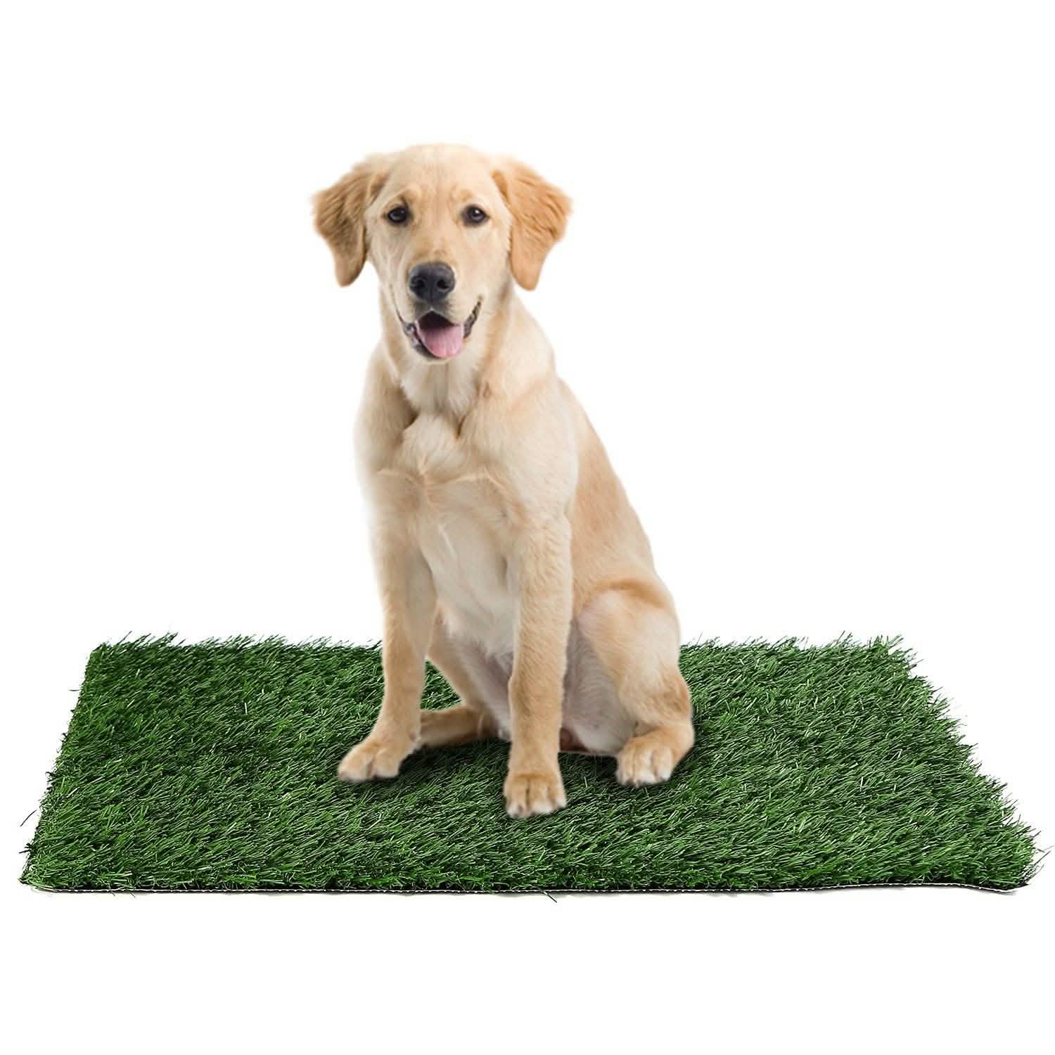Replacement Grass Mat for Pet Potty Tray DailySale