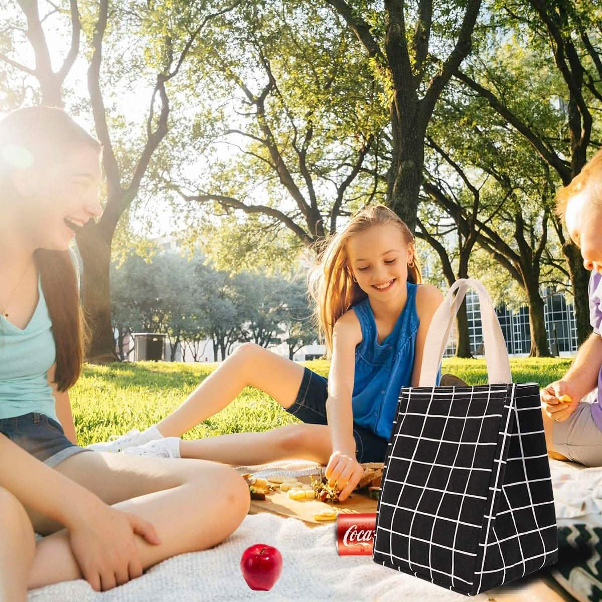 Reusable Lunch Bag Insulated Lunch Box Canvas Fabric with Aluminum Foil DailySale